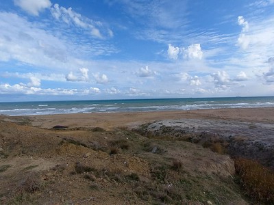 Ağaçlı Mahallesi